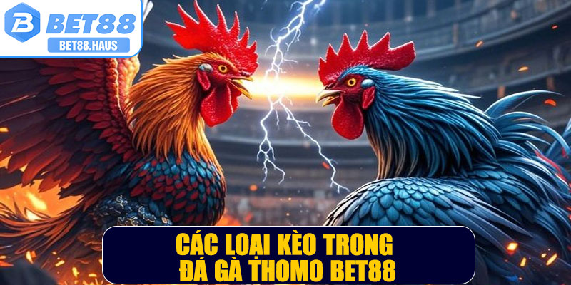 Các loại kèo trong đá gà thomo BET88