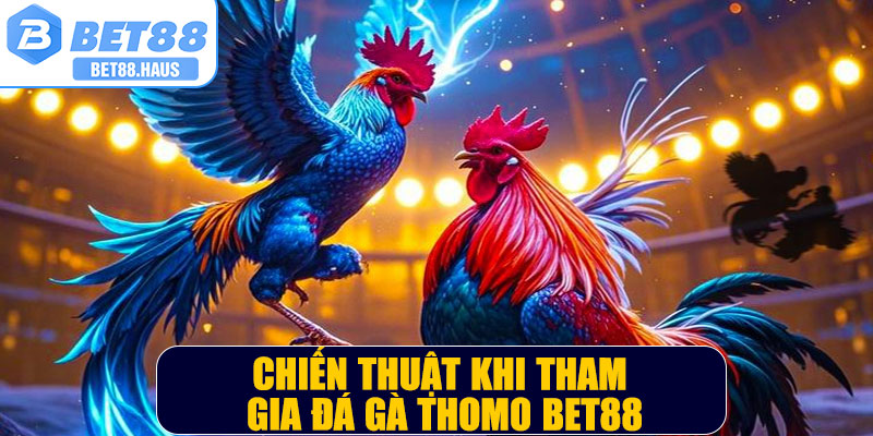 Chiến thuật khi tham gia đá gà thomo BET88