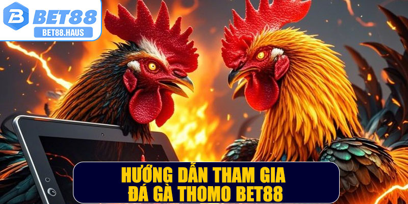 Hướng dẫn tham gia đá gà thomo BET88