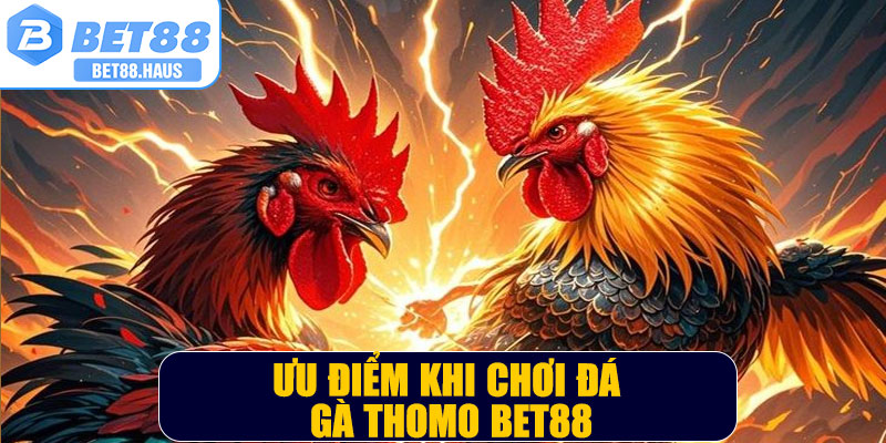 Ưu điểm khi chơi đá gà thomo BET88